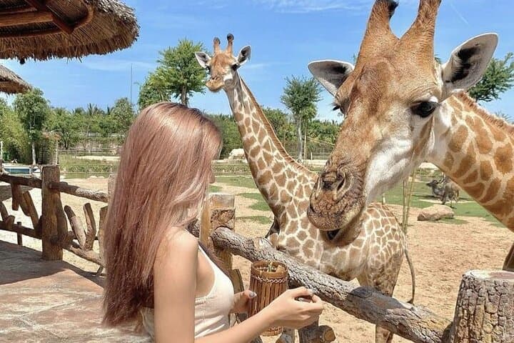 Dubai Safari Park Explorer: Full-Day Wildlife Safari & Optional Transfer