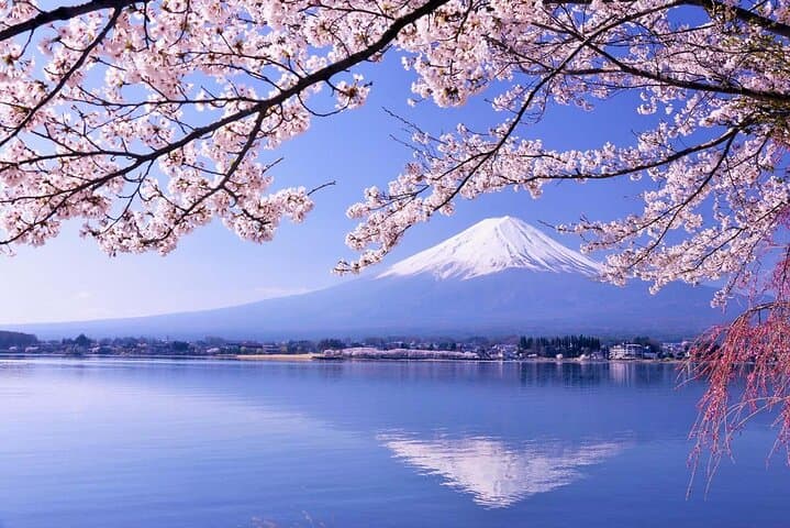 Day Trip to Mt. Fuji & Fuji Five Lakes: Kawaguchiko, Chureito, Ropeway and More