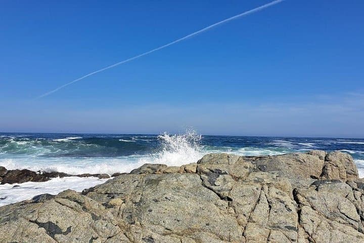 Isla Negra, Algarrobo & Undurraga Winery Day Tour from Santiago photo 2