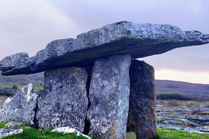 Private Cliffs of Moher, Burren & Sheep Farm Day Tour from Galway photo 4