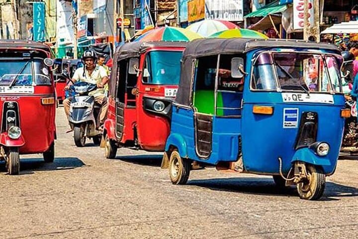 Galle Tuk-Tuk Sightseeing: Fort Walks, Stilt Fishermen & Koggala Lake Safari photo 4