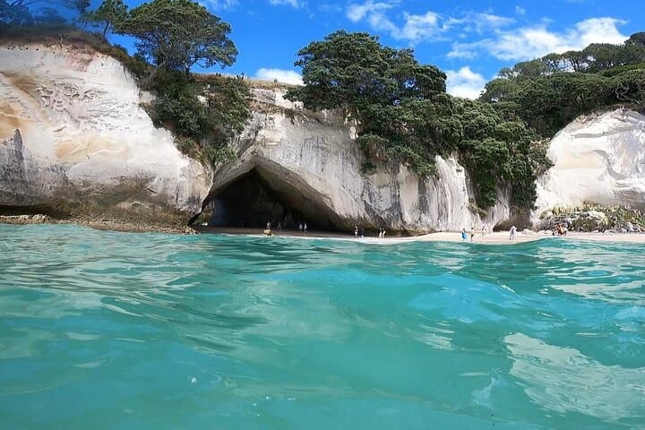 Cathedral Cove & Coromandel Peninsula Day Tour from Auckland photo 2