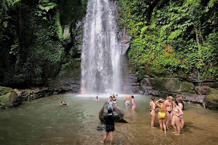 Ubud Day Tour: Tegallalang Rice Terraces, Tirta Empul & Hidden Jungle Waterfall photo 3