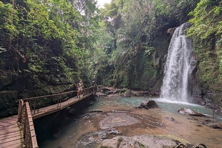 Ubud Day Tour: Tegallalang Rice Terraces, Tirta Empul & Hidden Jungle Waterfall photo 4
