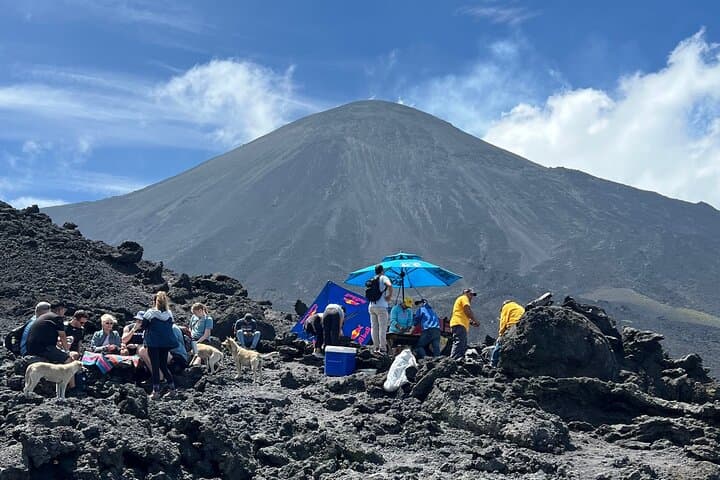 Pacaya Volcano Hike from Antigua Guatemala: Half-Day Guided Trek