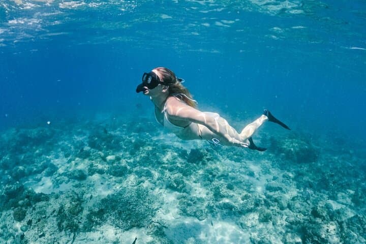 Gili Hai 3 Islands BBQ Cruise — Snorkel Turtles & Beach BBQ photo 5