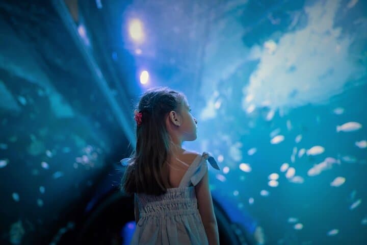 Aquaria Phuket & 4D Trickeye Museum Combo — Tickets, Tips, and What to Expect