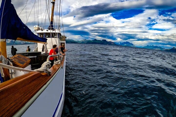 Tromsø Sea-to-Table Fishing: Small-Group Arctic Yacht Experience photo 2