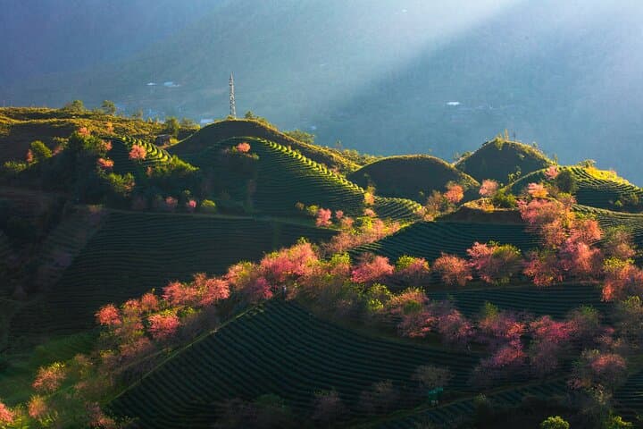 3-Day Sapa Trek: Cat Cat Village, Fansipan Summit & Moana View photo 6