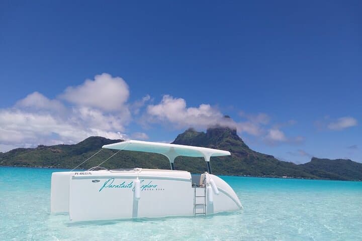 Full-Day Solar Catamaran in Bora Bora: Lagoon Snorkel, Rays & Sandbank Escape photo 4
