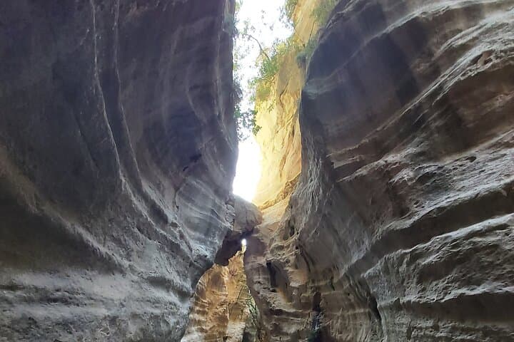 4x4 Akamas Coast Safari: Avakas Gorge, Blue Lagoon & Lara Bay photo 3