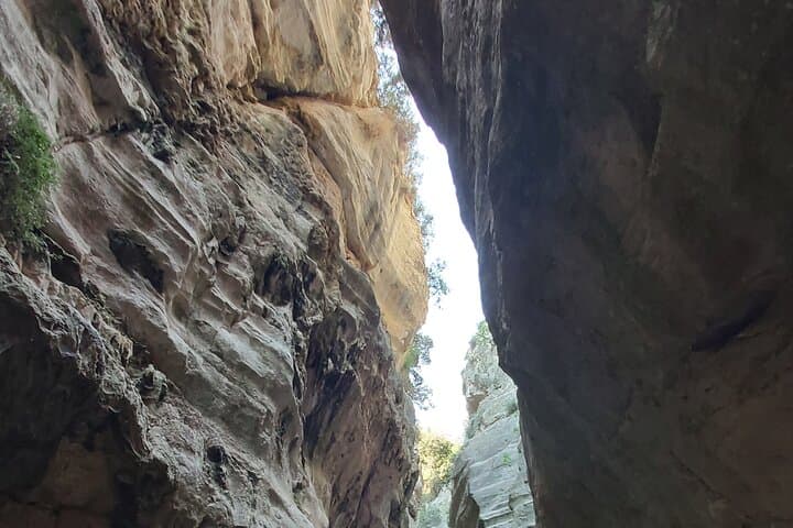 4x4 Akamas Coast Safari: Avakas Gorge, Blue Lagoon & Lara Bay photo 4