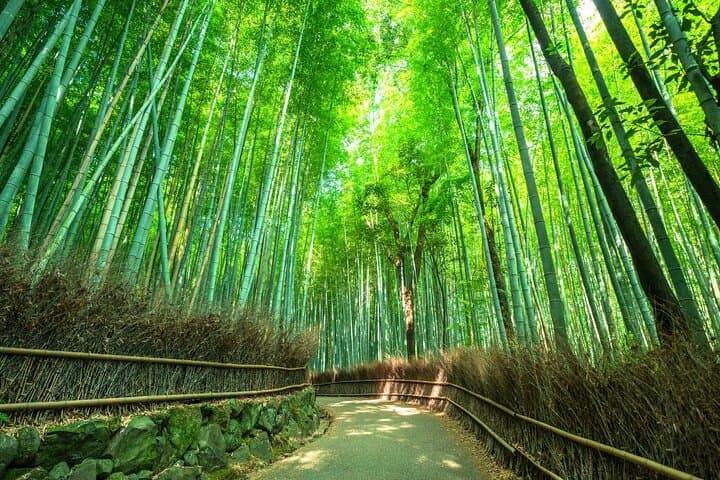 Walking Arashiyama: Bamboo Grove & Tenryu-ji Guided Morning Tour photo 2