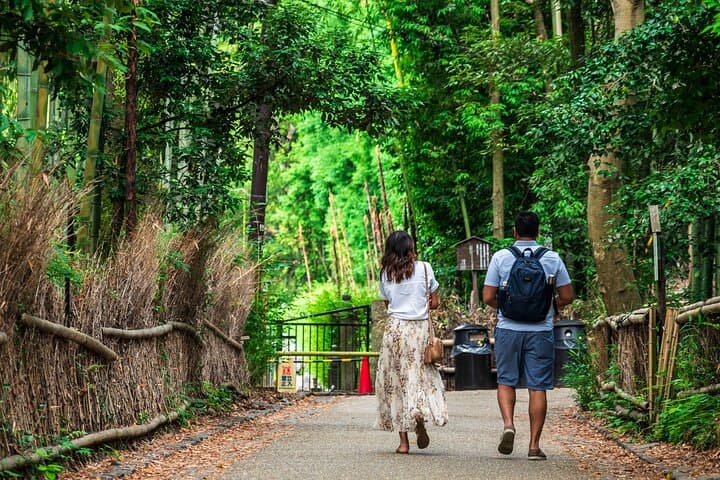 Walking Arashiyama: Bamboo Grove & Tenryu-ji Guided Morning Tour