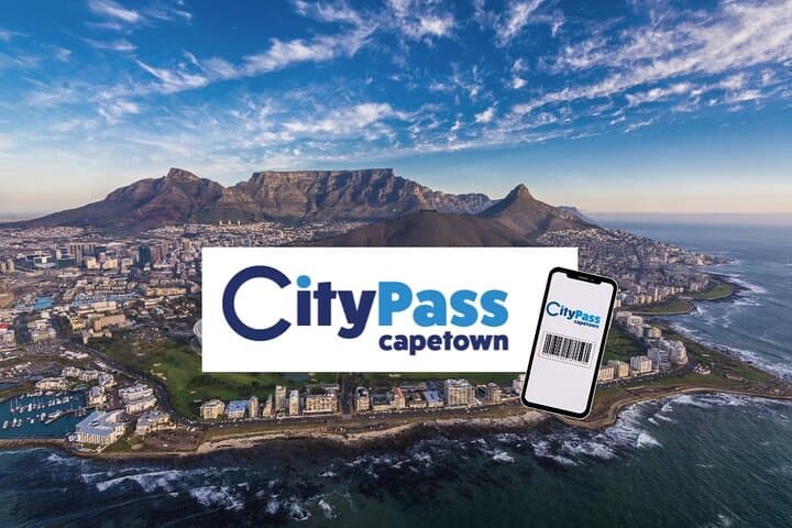 cape-town-city-pass-complete-guide-hop-on-hop-off-table-mountain-wine-cruises