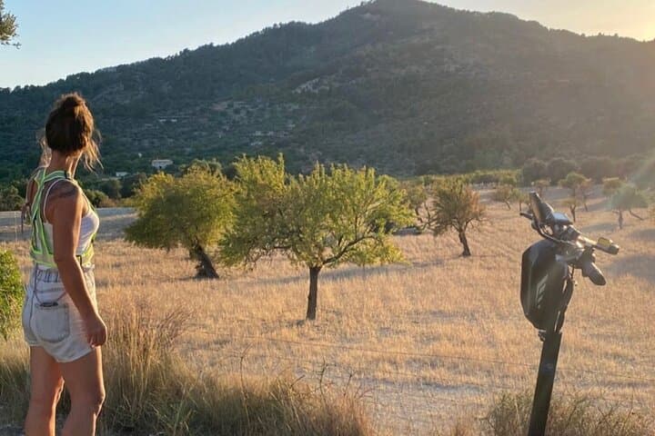 Mallorca E-Scooter Brunch Tour: Self-Guided Countryside Ride & 3-Stop Tasting