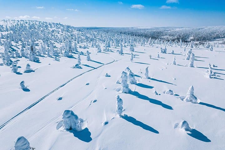 Winter Snowshoe Adventure to Riisitunturi National Park from Rovaniemi photo 2