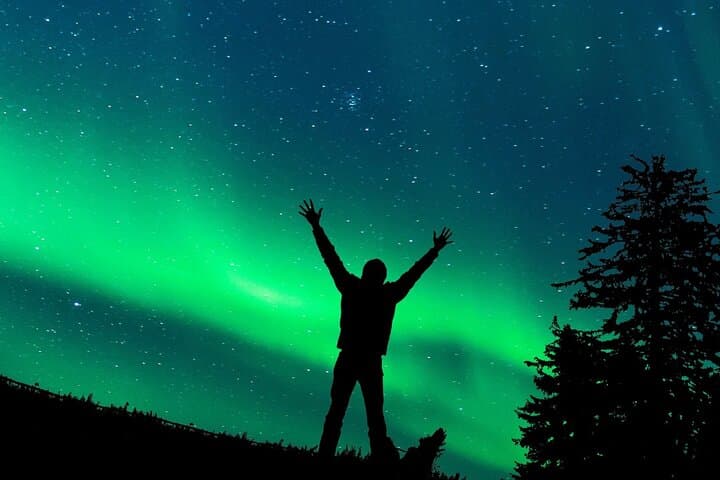 Aurora Quest by Minibus — Rovaniemi Northern Lights Chase photo 5