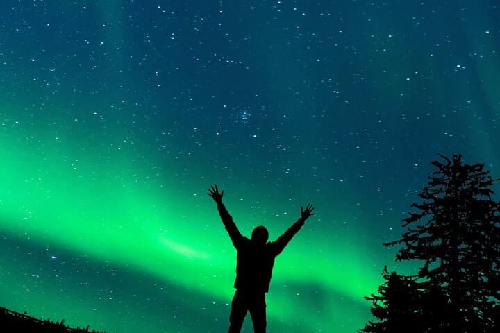 Guaranteed Northern Lights Chase from Rovaniemi: Pro Minibus Tour photo 6