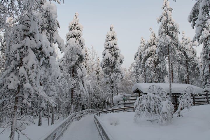 Ranua Wildlife Park: Arctic Wildlife Adventure Day Trip from Rovaniemi photo 3
