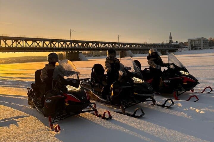 Arctic Wilderness Ride: Snowmobile Safari in Rovaniemi, Lapland photo 4