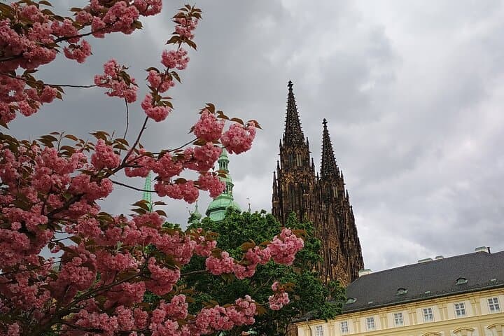Prague Castle Walk and Vltava Boat Ride with Local Guide Suzie photo 2