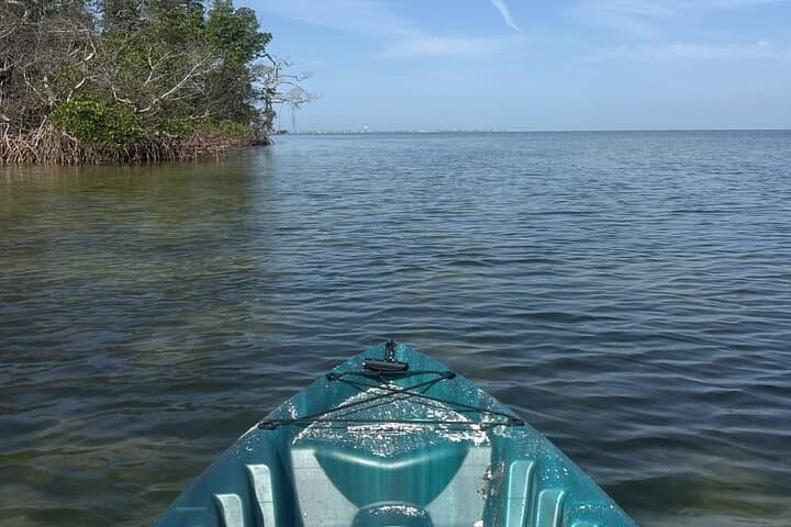 Paddle the Mangrove Tunnels: 3-Hour Guided Kayak at E.G. Simmons Park photo 5