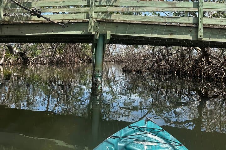 Paddle the Mangrove Tunnels: 3-Hour Guided Kayak at E.G. Simmons Park photo 6