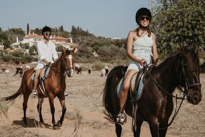 Albufeira Lagoon Horseback Ride: 1.5-Hour Guided Tour with Pickup