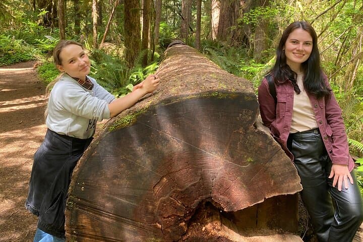 Olympic National Park Day Trip from Seattle — Hoh Rainforest, Ruby Beach & Lake Crescent photo 2