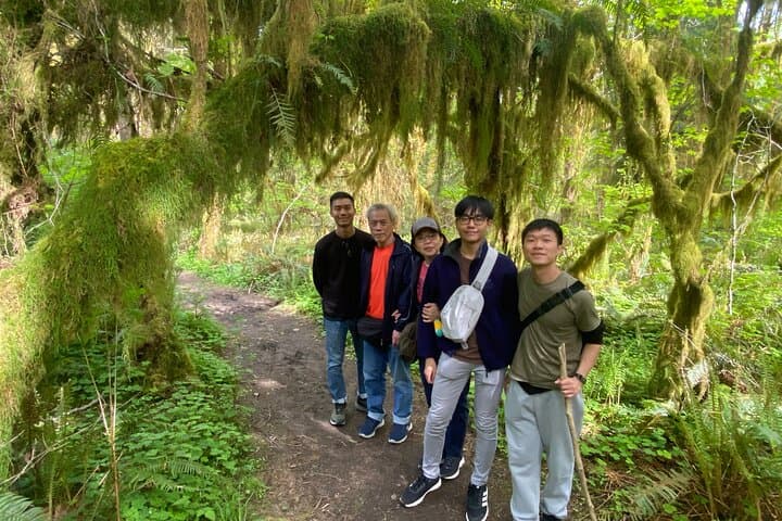 Olympic National Park Day Trip from Seattle — Hoh Rainforest, Ruby Beach & Lake Crescent photo 5