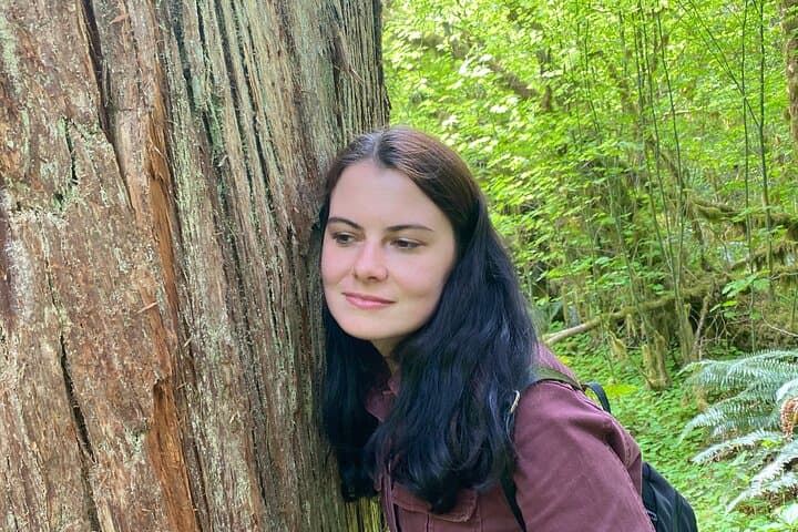 Olympic National Park Day Trip from Seattle — Hoh Rainforest, Ruby Beach & Lake Crescent photo 6
