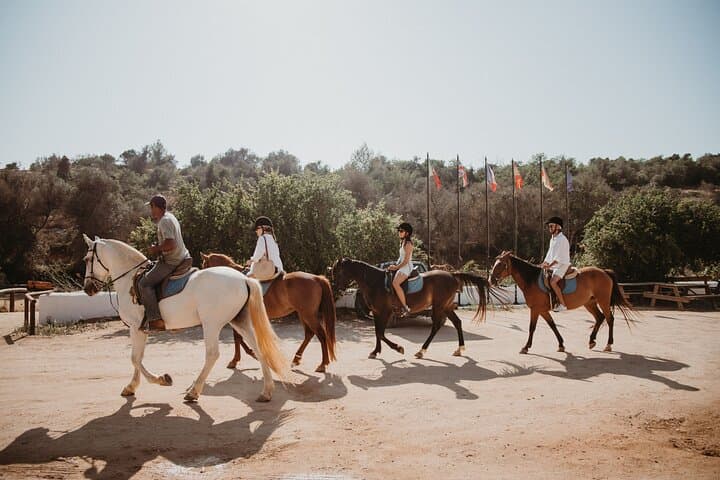Albufeira Lagoon Horseback Ride: 1.5-Hour Guided Tour with Pickup photo 4