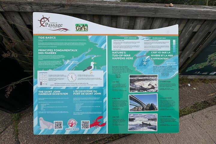 Saint John & Saint Martin Full-Day Bay of Fundy Tour: Reversing Rapids, Sea Caves & Historic Uptown photo 6