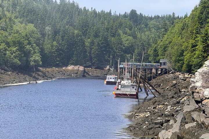 Saint John & Saint Martin Full-Day Bay of Fundy Tour: Reversing Rapids, Sea Caves & Historic Uptown photo 4