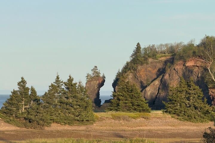 Saint John & Saint Martin Full-Day Bay of Fundy Tour: Reversing Rapids, Sea Caves & Historic Uptown