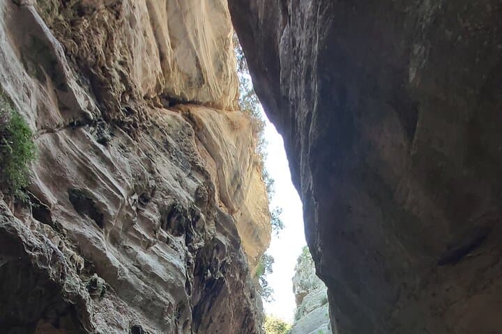 Jeep Safari Akamas Avakas: Blue Lagoon & Avagas Gorge from Paphos photo 4