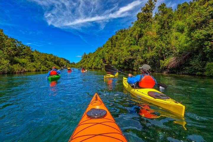 Guided Kayak Tour on the Maullín River — Half-Day from Puerto Varas