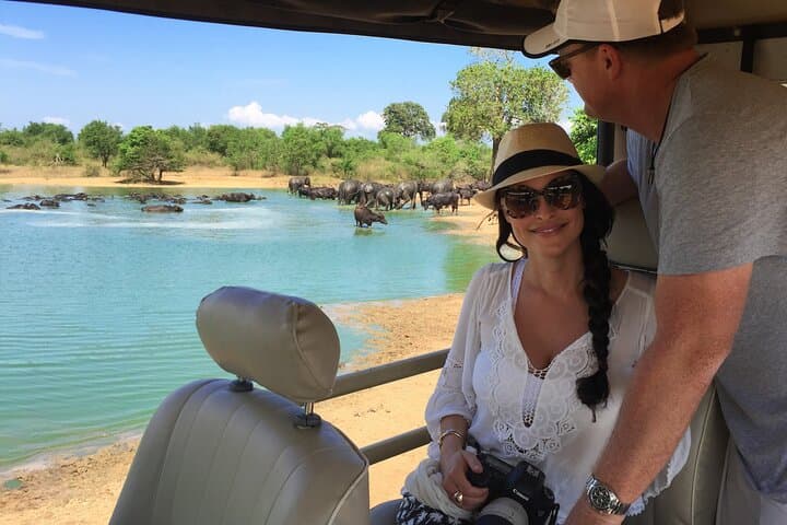 Udawalawe Safari: Elephant Encounters and Transfer to Arugam Bay photo 5