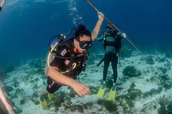 SSI Open Water Course on Isla Mujeres — 3-Day Scuba Certification & 4 Open-Water Dives photo 4