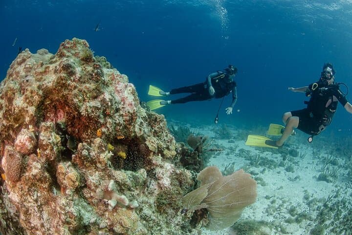 SSI Open Water Course on Isla Mujeres — 3-Day Scuba Certification & 4 Open-Water Dives photo 5