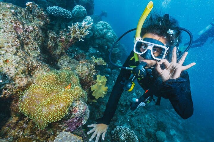 Beginner Scuba Diving in Antalya: Two Guided Shallow Dives with Lunch photo 3