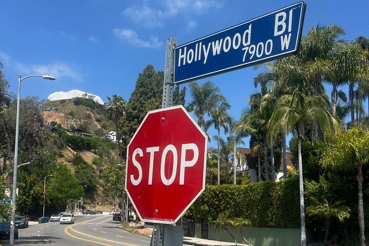 LA in a Day: Private Full-Day Sightseeing Tour from Palm Springs photo 6