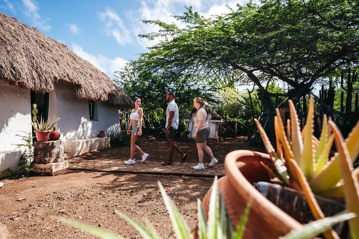Curaçao Kunuku & Playa Kalki Beach Tour — Flamingos, Kas di Pal'i Maishi & Shete Boka photo 3