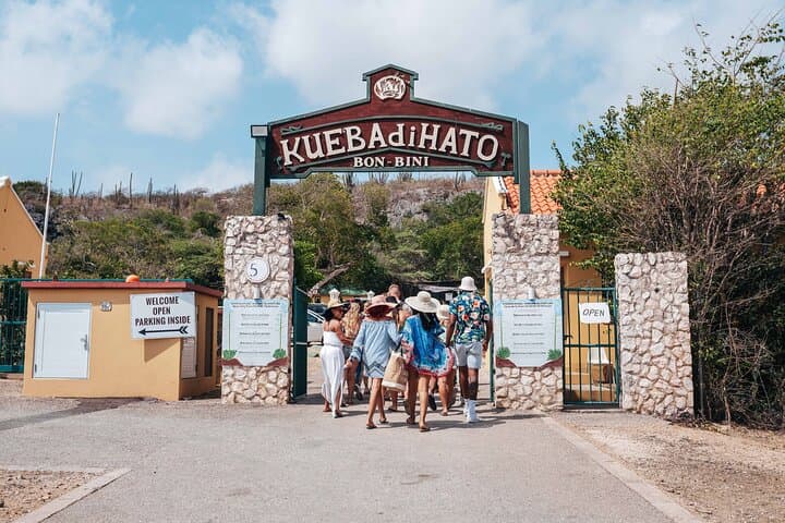 Hato Caves, Turtle Snorkel & Porto Mari Beach Day — Curacao Surf-and-Turf Tour photo 3