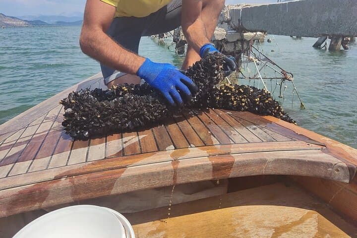 Mussel Hunting and Scenic Boat Tour in Ksamil, Albania photo 2