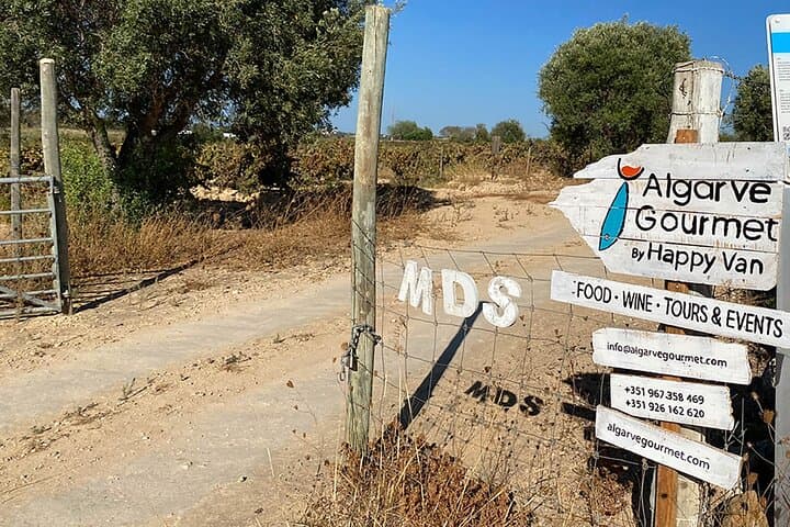 Seven Hanging Valleys Hike and Vineyard Lunch — Algarve Day Tour photo 3