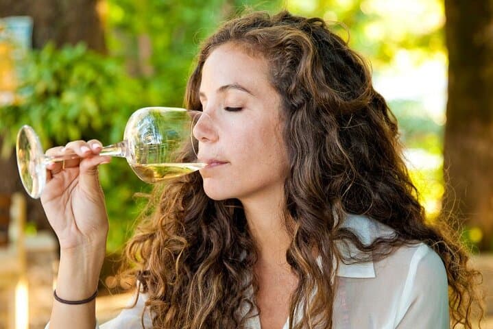 Full-Day Stellenbosch & Franschhoek Wine Tasting from Cape Town