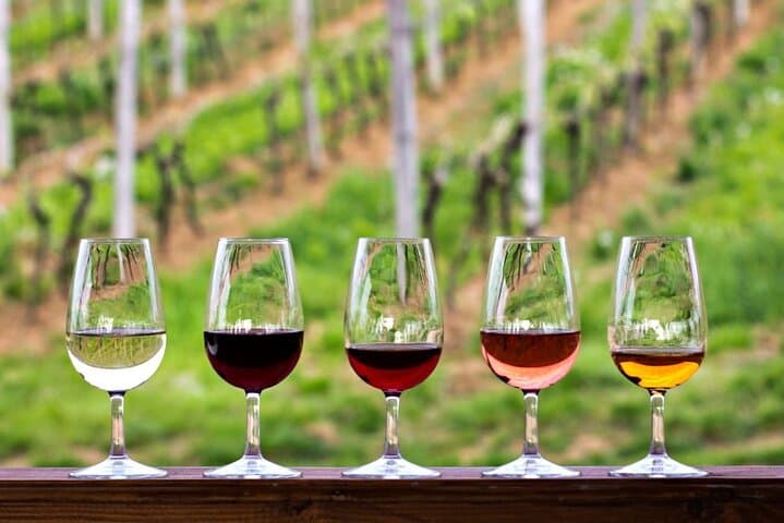 Full-Day Stellenbosch & Franschhoek Wine Tasting from Cape Town photo 4