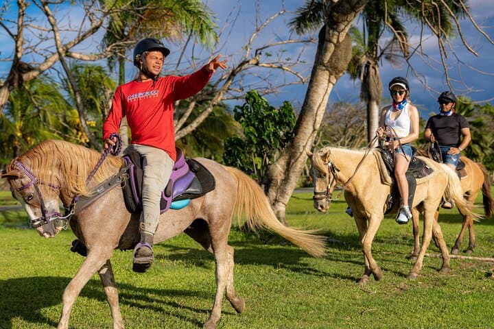 Hacienda Campo Rico Horseback Riding — Paso Fino Ranch Tour Near San Juan photo 2